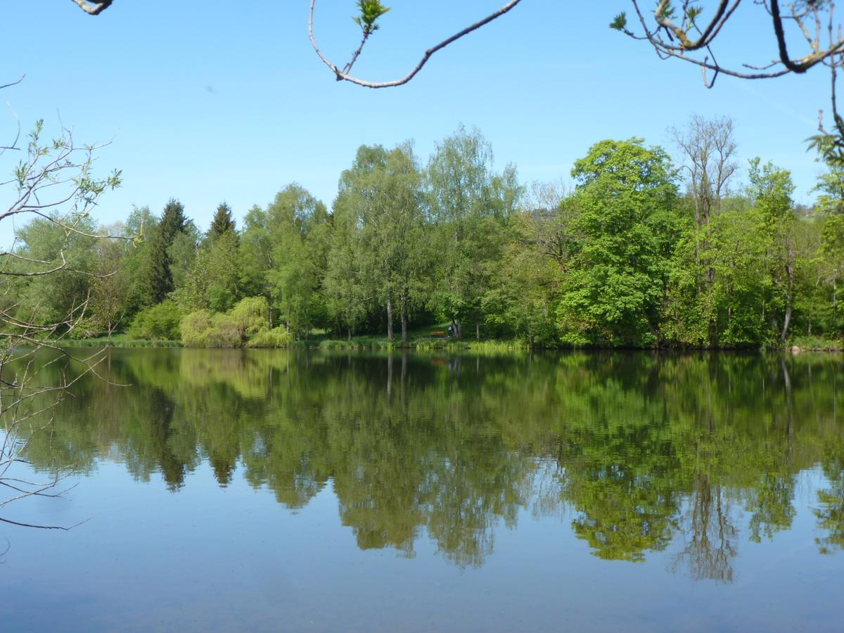 Ferienwohnung In Kempten Am Stadtweiher Экстерьер фото